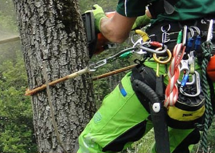 Tree Climbing Kit for Tree Work, Tree Climbing Gear and Equipment