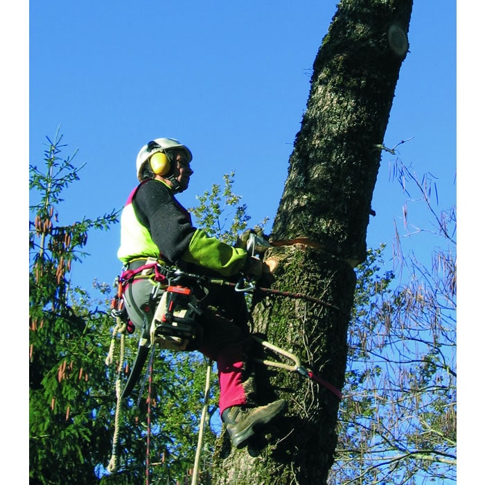 Shop Foot Ascenders and Foot Loops Products at Gap Arborist Supply