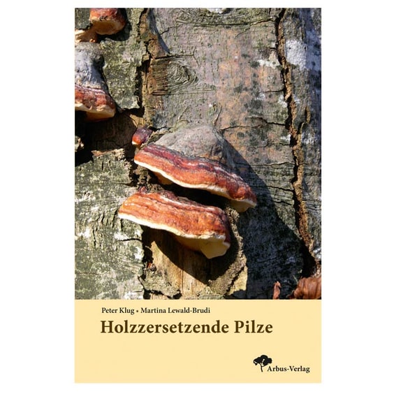 Holzzersetzende Pilze