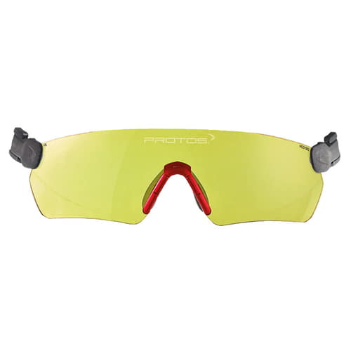Protos Integral Safety Glasses